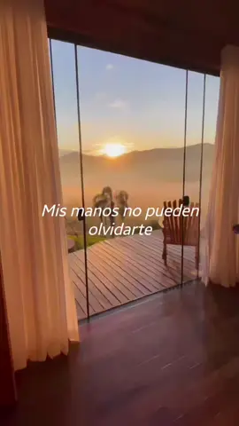 #pieldeazucar  #josejose 