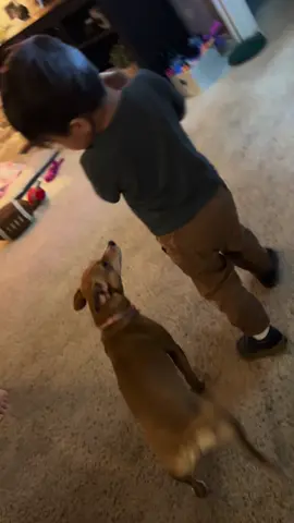 Just when he thought he was safe, LUNA STRIKES AGAIN😂😂😂😒😒 always taking the babys food 😤😤 #theoffice #funnyvideos #funny #michaelscott #dwightschrute #sneakybutnotreally #dogsoftiktok #dogsvideo #kidsoftiktok #toddlersoftiktok #MomsofTikTok 