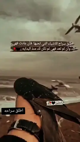 #🍷اذا_اردت_شيآ_بشده🤍🦅فأطلق_صراحه🥀 #فان_عاد_اليك_فهوا_ملك_لك_الي_الابد #_وإن_لم_يعد_فهو_لم_يكن_لك_من_البدايه #🌺🌺🌹🌹🌸🌸🌻🌻💐💐💮💮🌺🌺 