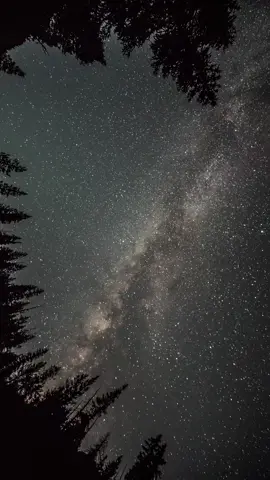 The Stars ✨ #nightsky #star #aesthetic #scenery #relax #peace  #nightview🌌  @eliseos 