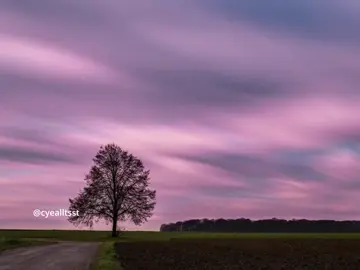 အလွမ်းများ မိတ်ဆွေ 🍂 #marriza #audio #song #rkmt 
