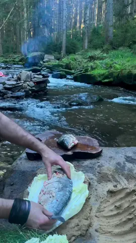 Would you eat that fish? 🐟 #fish #Outdoors #outdoor #outdoorcooking #camping #camp #food #cooking #foodvideo #nature #forest #bushcraft #survival #foodvideos #usa #cooking #hungry #foodporn #wilderness #germany #cookingadventures #adventures #asmr #asmrvideo #campfire #outdoorkitchen #fyp