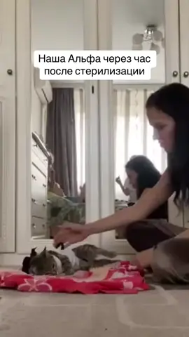 Как вспомню 🥺 так больно было на нее смотреть