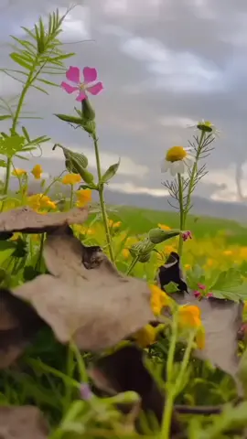 ♥️🥰♥️🥰♥️