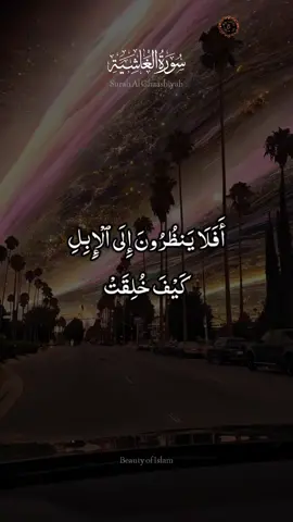 Surah Al Ghashiyah Ayat 16-26 #shorts #quranrecitation #quran #surahalghaashiya #quraninspiration #quran_alkarim #quranvideo #DailyReminder #QuranicStudies #islamic #islamic_video #Islam 