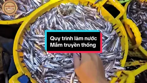 Quy trình làm nước mắm cá cơm truyền thống #nuocmamtruyenthong #mamcacom #huongbiennuocmambinhdinh #master2023bytiktok 