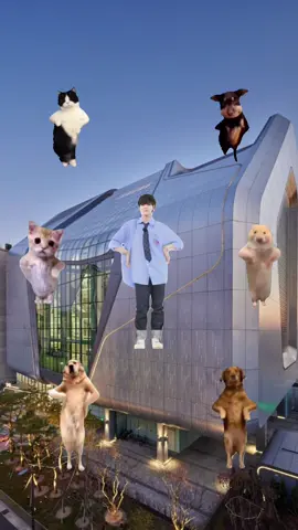 #jihoon #지훈 #treasure #트레저 #treasure_yg #catdance #viral #trending #fyp #fypシ @yg_treasure_official  idea: @her.zein ❤️
