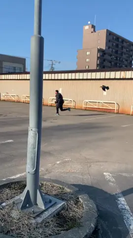 友達と待ち合わせしてたらカラスに追われながら来たけど一体何をしたんや #カラス #ブチギレ #もはや仲良し #面白い #おすすめ 