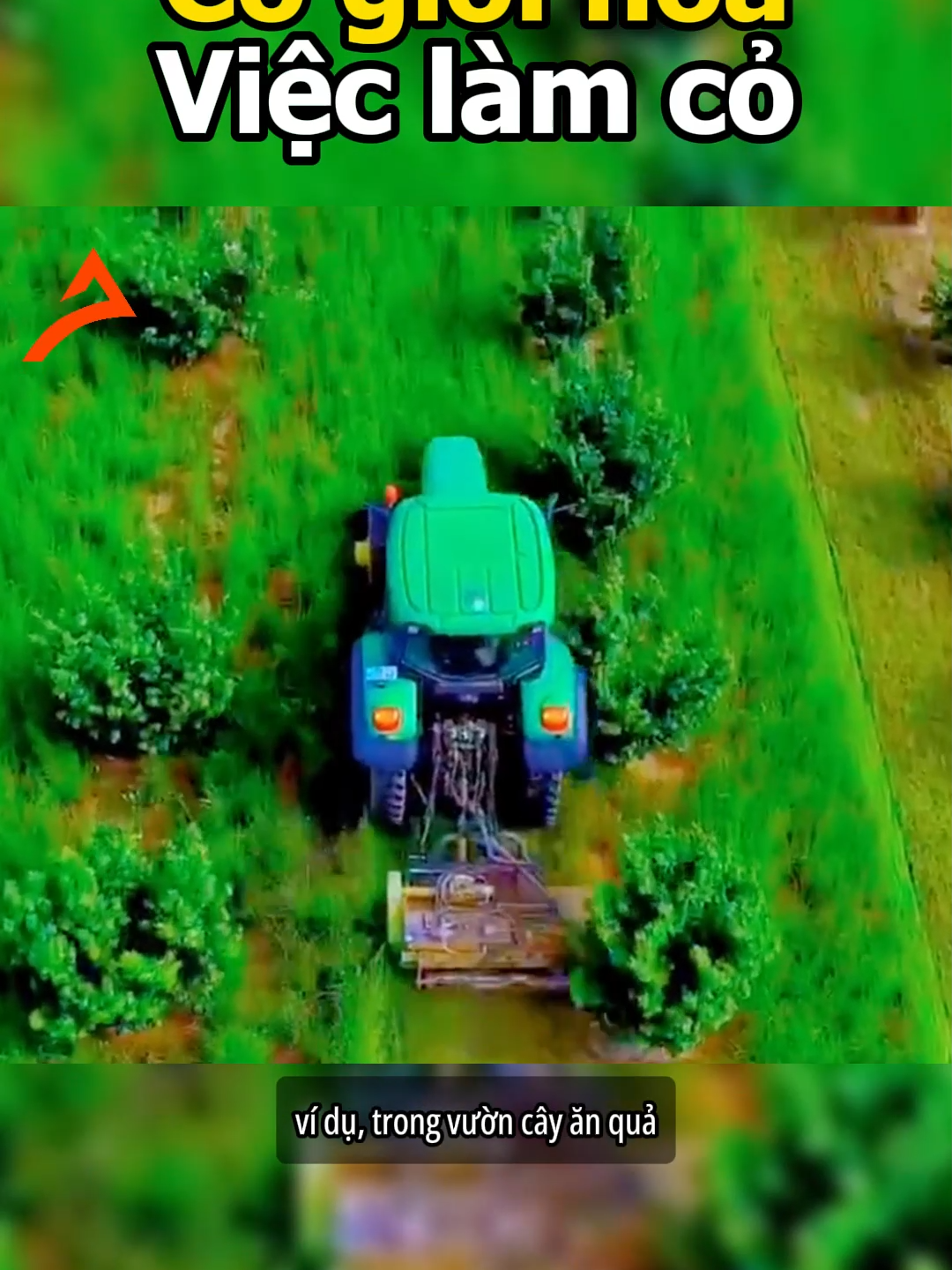 Làm cỏ tự động #tiktok #ht #nongnghiepthongminh #nongnghiepthongminhht #fyp #foryou