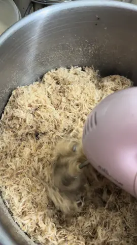 Làm thế nào để ruốc bông 😂 máy đánh trứng nha #xuhuong #thinhhanh #LearnOnTikTok #trending 