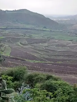 #virali ራያ ራዩማ ያዕስ🌽🌽🌽🌽🌽🌽🥰🥰🥰