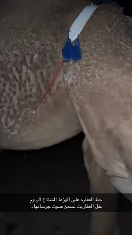 #رمضان #انتاج_ابن_صوير_الدوسري #ابن_صوير_الدوسري ##الحدود_الشماليه#مشاهير_تيك_توك_العرب♥️🙈 #الشعب_الصيني_ماله_حل😂😂 #اكسبلورexplore#ههههههه   