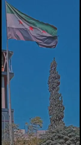 #الذكرى_الثالثة_عشر_للثورة_السورية 2024/3/15💚💚✌🏻#سوري_والنعم_منّي #علم_الثورة_السورية #سوريا_حلب_اعزاز #ادلب #اعزاز #تصميمي #fypシ #ذكرى_الثورة_السورية #الساروت #ثورة #💚 