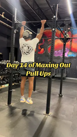 Day 14 of Maxing Out Pull Ups 🔥 Only A quarter today, but we showed up. 🫡 03/14/2024 #gym #calisthenics #pullups #fyp #nodaysoff #grindmode #pullupchallenge 