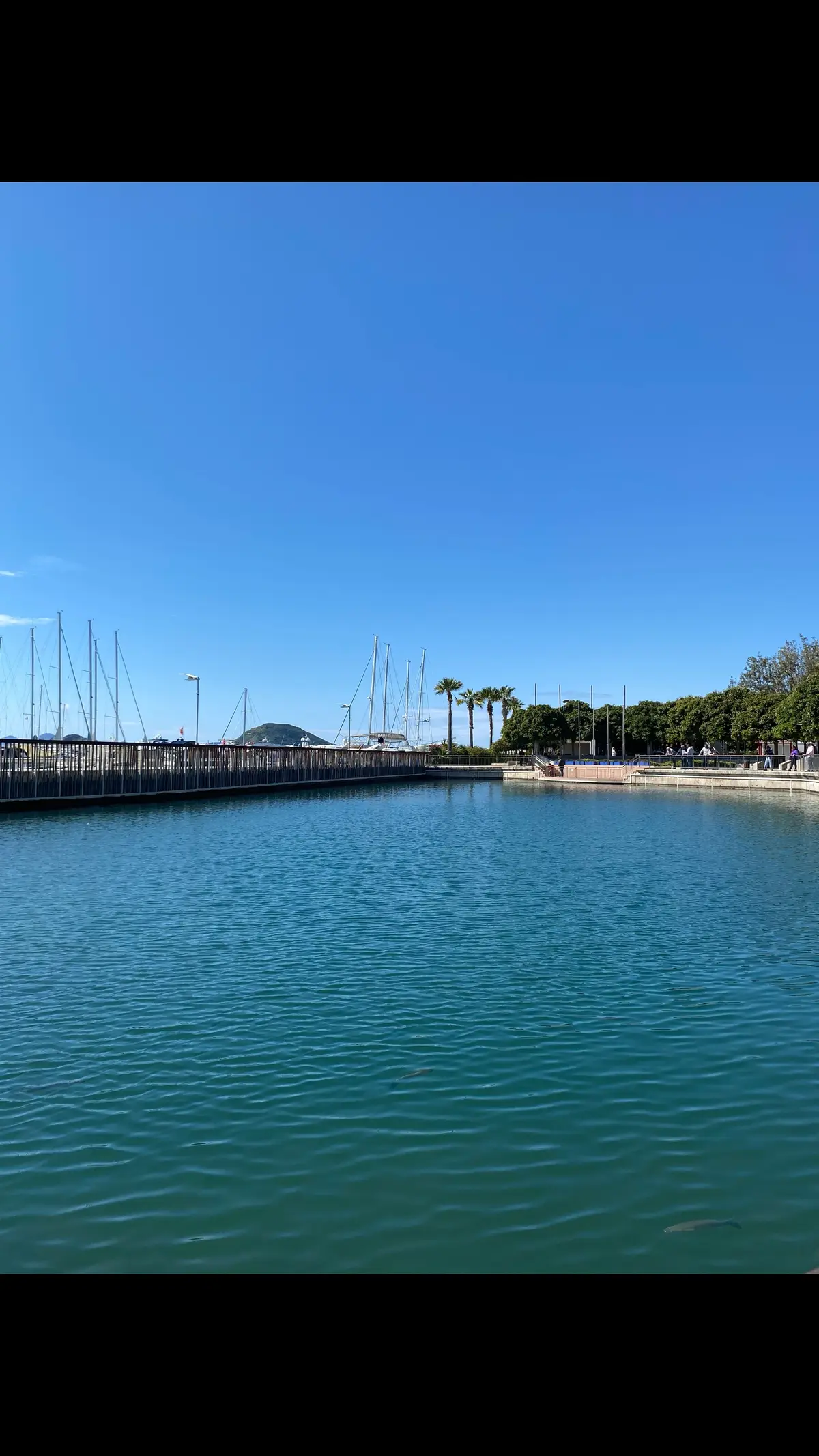 #tiktok #bodrumturgutreis💙 #maviyeşil💙💚 