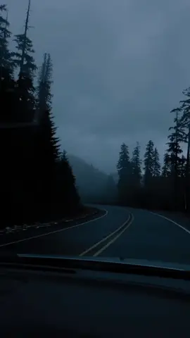 #explore #nature #natoral #viral #foryou #travel #roadtrip #fog  #fypage #اكسبلور #طبيعة #غابة #سفر #تيك_توك #طريق 