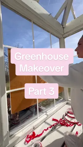 Team white greenhouse!! #renovation #renovationproject #diyhomedecor #greenhouse #amazonfinds 