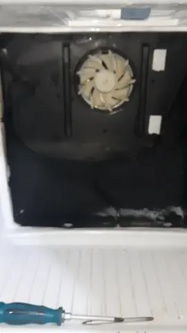 Defrosters Failed ==> Feezer Choked #foryoupage #foryou #samsung #refrigerator #freezer #defrost #nofrost #DIY #tips #dz #learnontikok #thermostat 