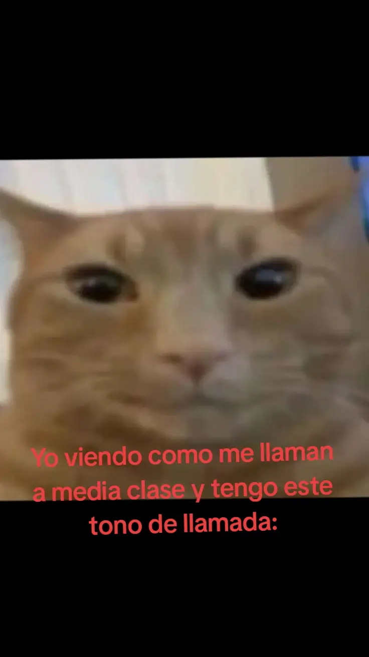 😨 #papu #papulandia #yo 