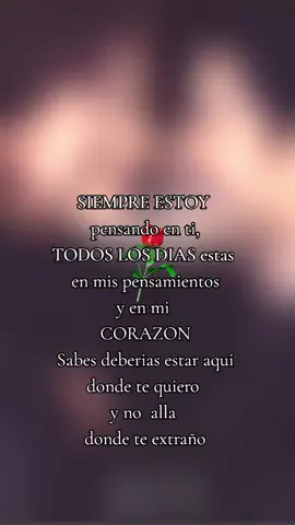 #♥️♥️♥️♥️♥️♥️♥️♥️ 
