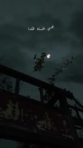 هي الحياة هكذا ذا طبعها منذ الأزل كم أغلقت أبوابها كم هجَّرت أصحابها كم أغلقت أبوابها كم هجَّرت أصحابها أحزانها لا تنتهي أفراحها لا تُكتَمل كم من قتيل في الهوى قبَّل كفَي من قَتَل هي الحياة  . . . #كاظم_الساهر #كاظم_الساهر_الحياة    #ميشيل_فاضل #القيصر_كاظم_الساهر  #هي_الحياة_هكذا #تصاميم_اغاني_عراقيه  #كم_من_قتيل_في_الهوى  #اغنية_الحياة #الحياة #kadimalsahir 