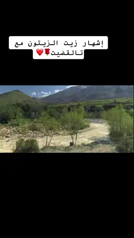 #اشهار #زيت #الزيتون #واد #سوس #سوسية_أمازيغية_وافتخر #تعزام_داري #🌹🌹🌹🌹🌹🌹🌹🌹🌹🌹🌹🌹 #أحبكم #رمضان #مبارك #شهر_رمضان #مسلسل #بابا #علي #احبكم _يا_احلى_متابعين#imazighn #امريكا🇺🇸 #المغرب🇲🇦تونس🇹🇳الجزائر🇩🇿#السعودية🇸🇦#دبي🇦🇪#الامارات_العربية_المتحده🇦🇪#فرنسا🇨🇵_بلجيكا🇧🇪_المانيا🇩🇪_اسبانيا🇪🇸#الجالية_المغربية_في_كل_مكان💚#الاناقة#عنوان#مغربيات_اجمل_نساء_الكون🇲🇦🇲🇦🇲🇦#ازيلال#اوزود_شلال_اوزود @ممثلة أمازيغية مغربية🇺🇸#🇲🇦  @ممثلة أمازيغية مغربية🇺🇸#🇲🇦 