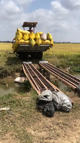 Chuyến đầu hơi rung #maykeolua #maynongnghiep #LearnOnTikTok 