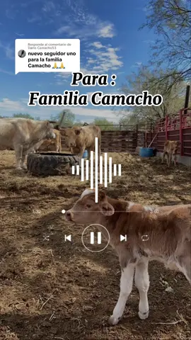 Respuesta a @Dario Camacho53  Aqui esta tu video Bro 🎶 bendiciones                             El Nano - Muy temprano se oye cantar un gallo en el corral una vaca pinta lechera se oye bramar.. #elnano #elfantasma #regionalmexicano #lyrics 