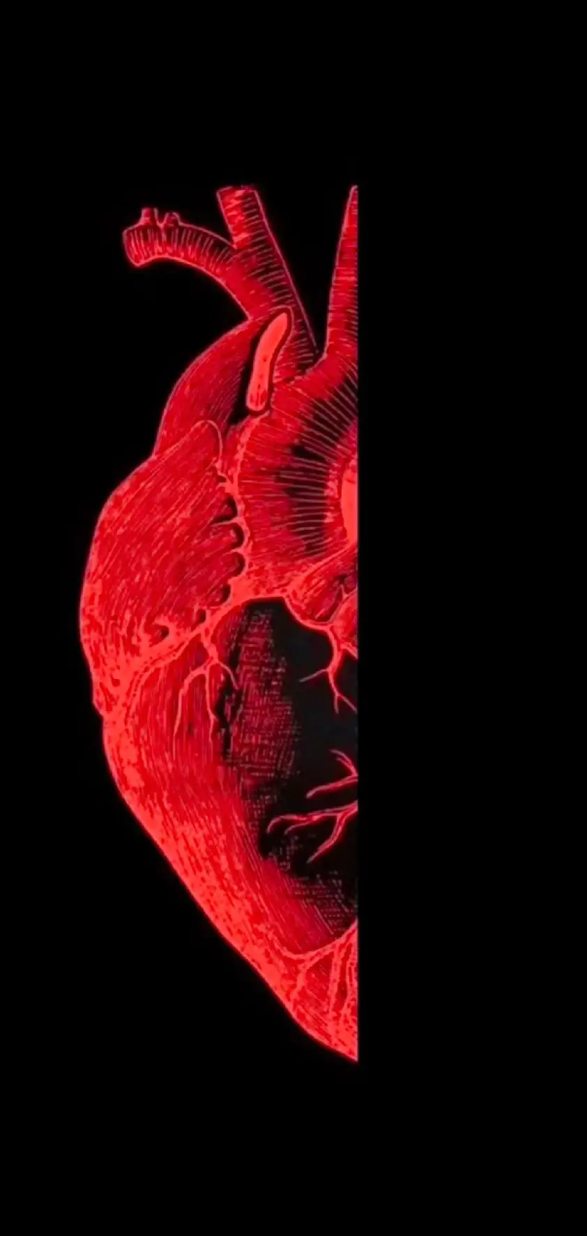 Replying to @lailacnic2j 😊#fypシ゚viral #fyp #wallpaperideas #coupleheartwallpaper #hearttoheartwallpeper #couple 