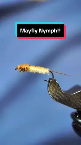 Gilled Mayfly Nymph!! Hook: @AhrexHooks FW539 size 14 Thread: @semperfli 18/0 nanosilk  Tail: #semperfli fibbits Underbody: Wooly nylon  Gills: #naturesspiritflytying ostritch  Legs: #naturesspiritflytying GP  Dubbing: #magpiematerials fine beaver  Vise: #Regal Revolution  #semperfli #semperfliworldwide #semperfliproteam #semperfliflytying #queensaward #magpieturkeybiots #magpiefinebeaverdubbing #whitingfarms #naturesspiritflytying #sightcastfishing #anadromousflycompany #lidrig #stonfoflytying #fly #flytyingjunkie #flytyingtutorial #flytyingaddict #flytok #satisfying #flytyingnation #fyp #harelinedubbin #wishbonebobbin #fishing #flyfishing #pescamosca