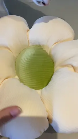 Uma almofada de florzinha 🌼 #aliexpress #comprarcasa #compraonline #unboxing #unboxingvideo #asmr #asmrtiktoks #asmrsound #unboxwithme #homedecor #cutethings #aesthetics #pinteres #decor #cute 