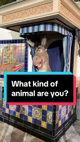 Another hilarious conversation with Donkey! He’s so fun to interact with at Universal Studios Hollywood!  #universalstudios #universalstudioshollywood #ush #funny #silly #donkey #donkeyandshrek 