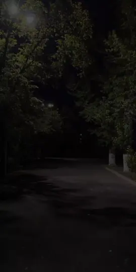 #قومت_من_نومي_مسكت_تلفوني 👌#اغانى_بدون_موسيقى #بدون_موسيقى #الواجهه #اغانى_هادئه🎼🎧 #حركه_الاكسبلور #fypシ #viral #foryoupage #fyp #fyp #foryou 