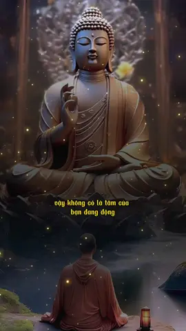 Tâm của bạn thanh tịnh.. thì thế giới này thanh tịnh. #phatphapnhiemmau #phatgiao #phatphap #adidaphat #tam 