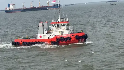 Cabe rawit nya tj kampeh🔥 #pelautindonesia #fyppelautindonesia🛳⚓💪 #pelautpesungaipunyacerita #pelauttugboat 