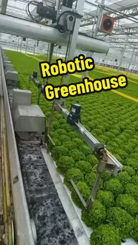 Robotic Greenhouse #greenhouse #agriculture #agricultural #technology 