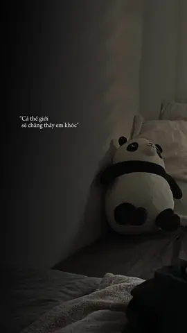 Cả thế giới sẽ chẳng thấy em khóc... #tuemthuongminh #fyp #nhachaymoingay 