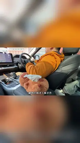 Hộp Khăn Giấy Xe Hơi Hoạt Hình, Capibala Dễ Thương, Hộp Phụ Kiện Tay Vịn Xe Hơi Nhồi Bông Hộp Ngăn Kéo Giấy Xe Hơi D1A7. #giadungthongminh #dogiadung #giadungtienich #giadungtrungquoc #giadung #thegioigiadung #xuhuong #xuhuongtiktok 