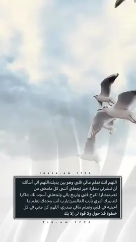 اللهم امين 🤲🏻 #دعاء_يريح_القلوب #دعاء_جميل #دعاء_عظيم #دعاء_الفرج #دعاء_رمضان #يارب_دعوتك_فأستجب_لي_دعائي #رمضان_يجمعنا #رمضان #دعوة_من_القلب #دعواتكم_بالخير #دعوات_الكترونيه #دعوة_الكترونية #مواليد #مولود_جديد #بشارة_مولود #اكسبلور #دعم #فولو #ترند_تيك_توك #طلعوة_أكسبلور 