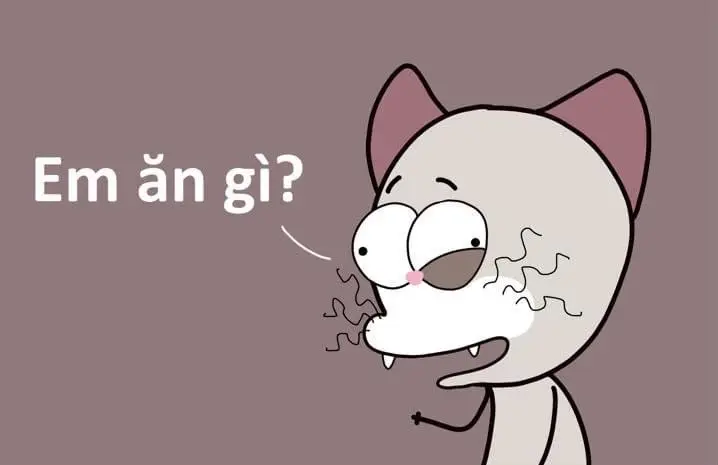 #vanchuonglake #tiktokawardsvn2024 #master2024bytiktok #meme #haihuoc #xuhuong @1 chiếc bánh cuốn 🎶 