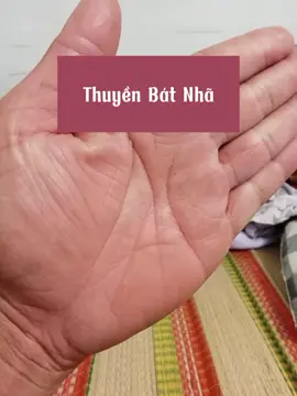 Thuyền bát nhã #coichỉtay #chỉtay #coitay #coichitay #xemchitay #xemchỉtay #cậuđiệp #giaimachitay #giaỉmãchỉtay #giaỉluậnchỉtay #luậnchỉtay 