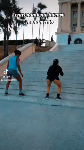 @Francis Javier #entrenamientoairelibre #monumentodesantiago #parati #todos 