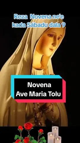 Tuir ami nia LIVE atu hatene liu tan kona-ba Novena ne'e #Novena Ave Maria Tolu #Devosaun 