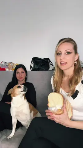 Kitalált szituáció. Bármilyen hasonlóság csak és kizárólag a véletlen műve😬😅#tájmi #magyartiktok #joszia #freetimi #nekedbe #foryou 