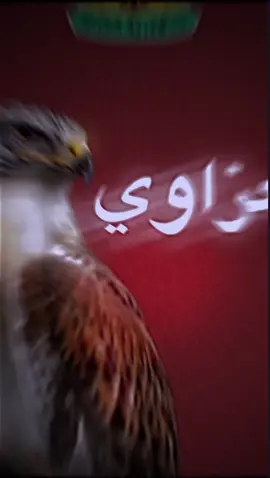 باول سطر ساريه موجودات اسمامينه قبيلة العزة آل عواد إخوة حمدة العزة البو محمد إخوة باشا ديالى بغداد ذي قار عماره حمدة باشا 
