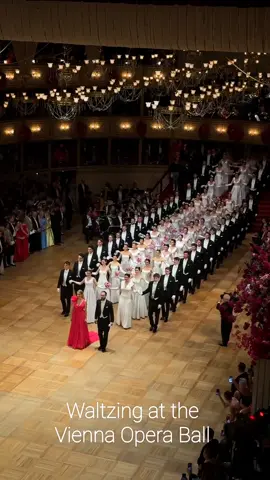 Waltzing at the Vienna Opera Ball🩰 ✨ ##baldesdebutantes2024 #swarovski #viennaopera #baldancing #lebaneseweddings #brides #Debutantes2024 