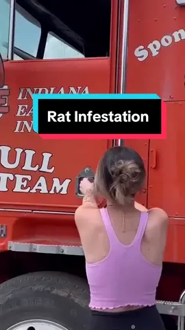 Rats in the Pulling Semi😱 #trucks #trucking #trucker #truckdriver #peterbilt #scania #kenworth #semi #largecarmafia #dodge #diesel #dieseltrucks  #dieselpower #dieselmechanic #diesellife #righttracksystem #stance #power #speed #trending #viral 