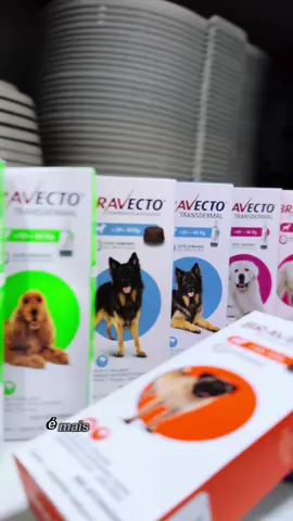 Bravecto com uma linha especial para cuidar do seu pet! 🐾 #pet #pets #pulgas 