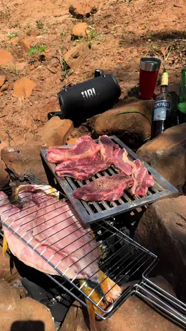 Momentos que a vida dos proporciona 🎣🙏🏻. #f #foryou #for #fimdetardemaravilhoso #pescaria #sertanejo #2024 #saudadepai #dourado 