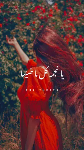 مين اللي يقدر يعشقك قدي أنا ❤ #foryou #foryoupage #ترند #دندنه #الكينج #محمد_منير #لما_النسيم 